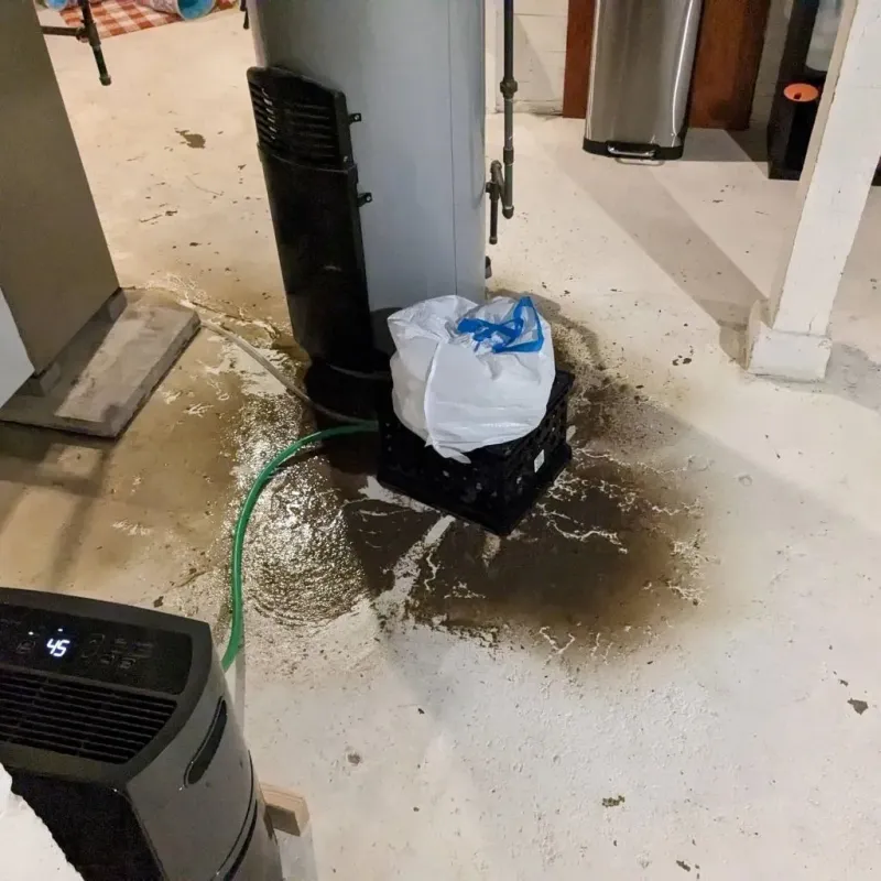 Sewage Backup Cleanup Service in Eddystone, PA